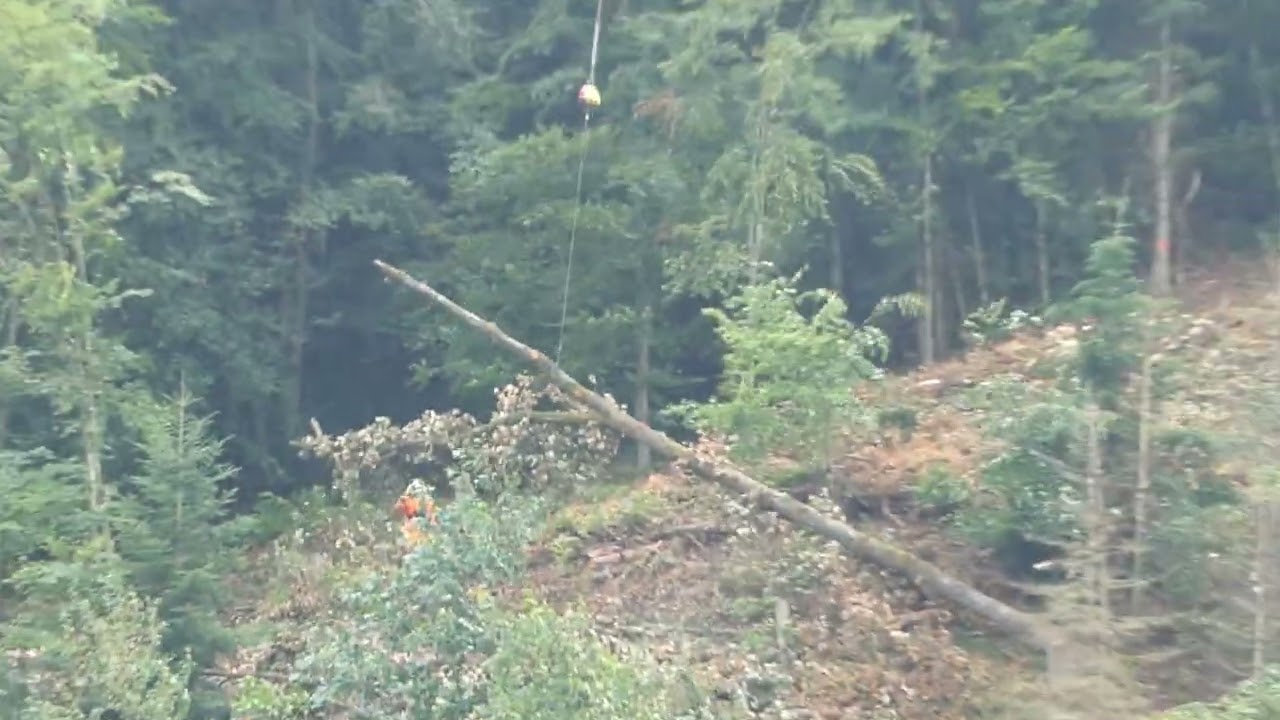 Holztransport per Hubschrauber beim Gymnasium 270825