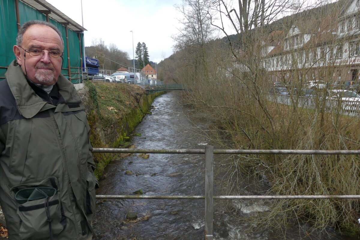 Skeptischer Blick: Gewässerwart Michael Roth an der Schiltach bei der Majolika.
Foto: him