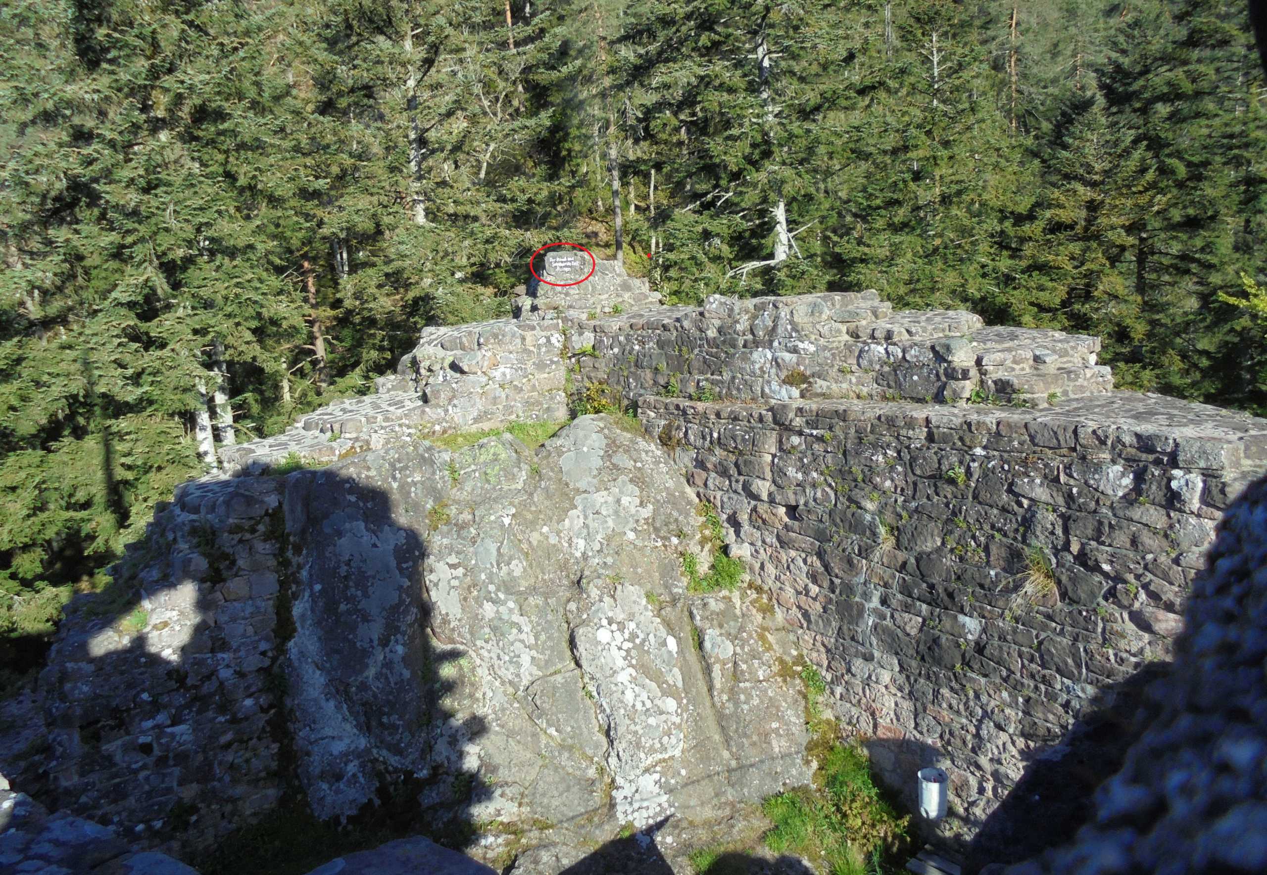 Falkenstein Ruine Spruch weit dk 140519 scaled