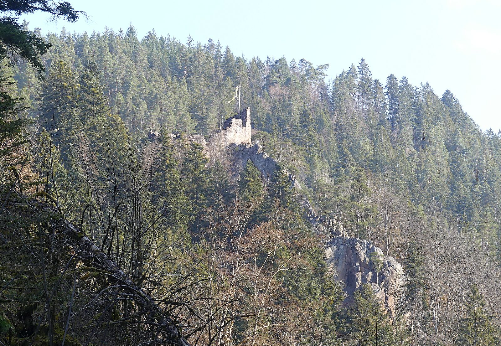 Ruine Falkensteindk 260320 2