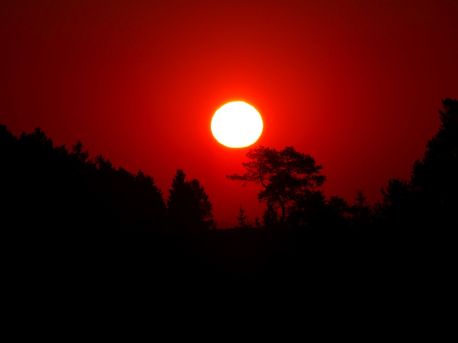 Sonnenaufgang Karl Gutmann dk 080420 3