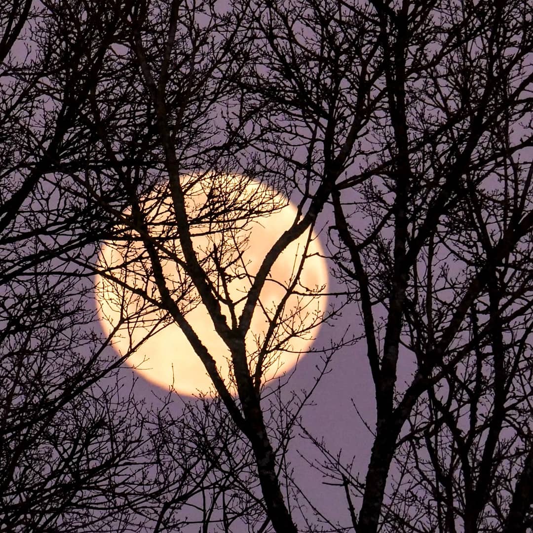 Vollmond Karl Gutmann 070420 1