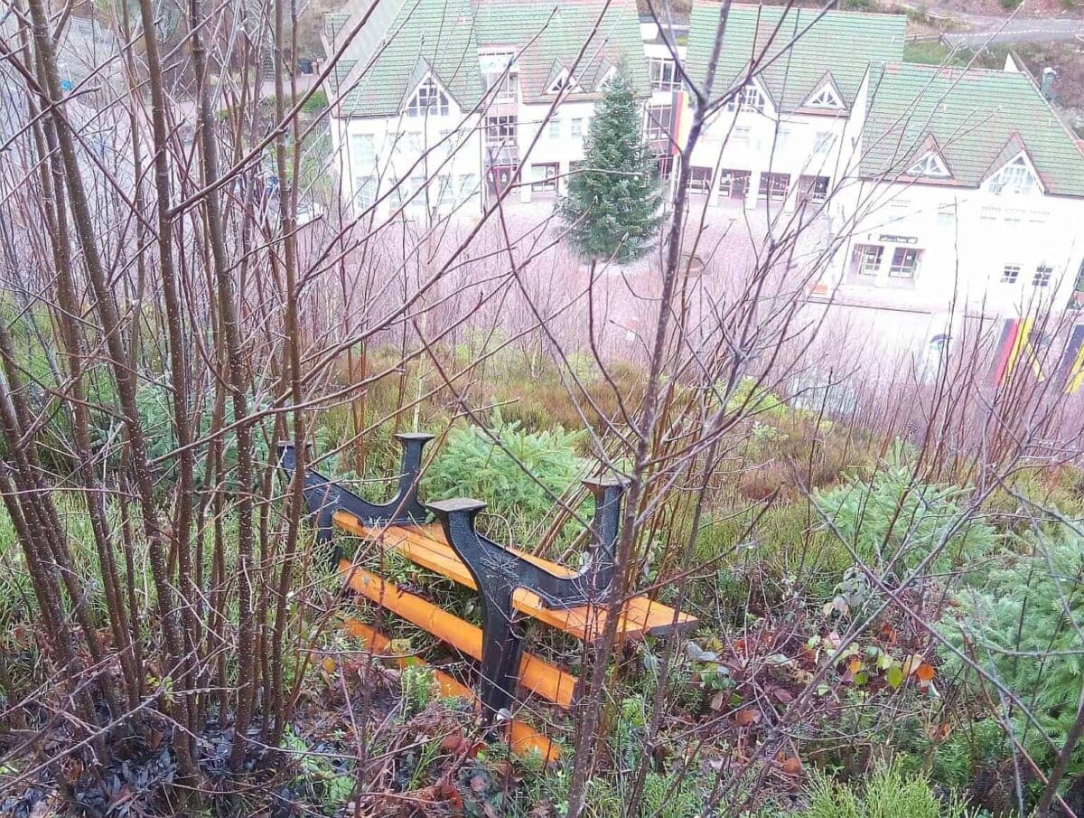 Spur der Verwüstung am Panoramaweg oberhalb des Lauterbacher Friedhofs und des Rathauses. Fotos: Gemeinde