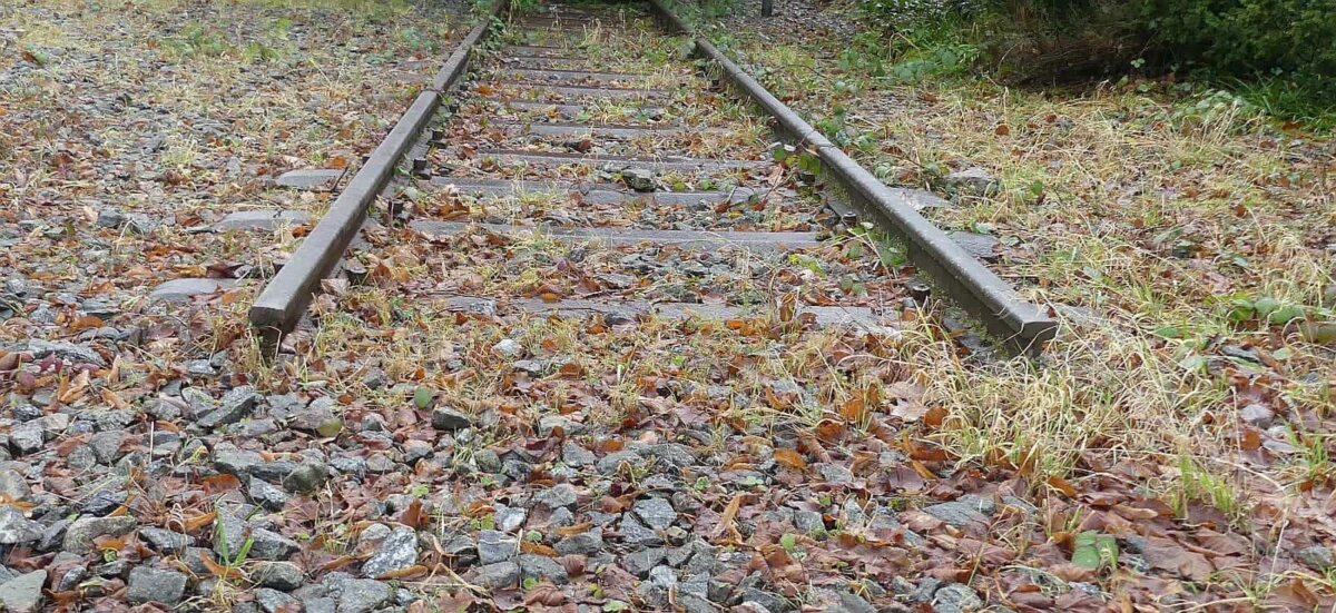 Ende der Bahnlinie in Schiltach und auch der Diskussion? Ja. Foto: him