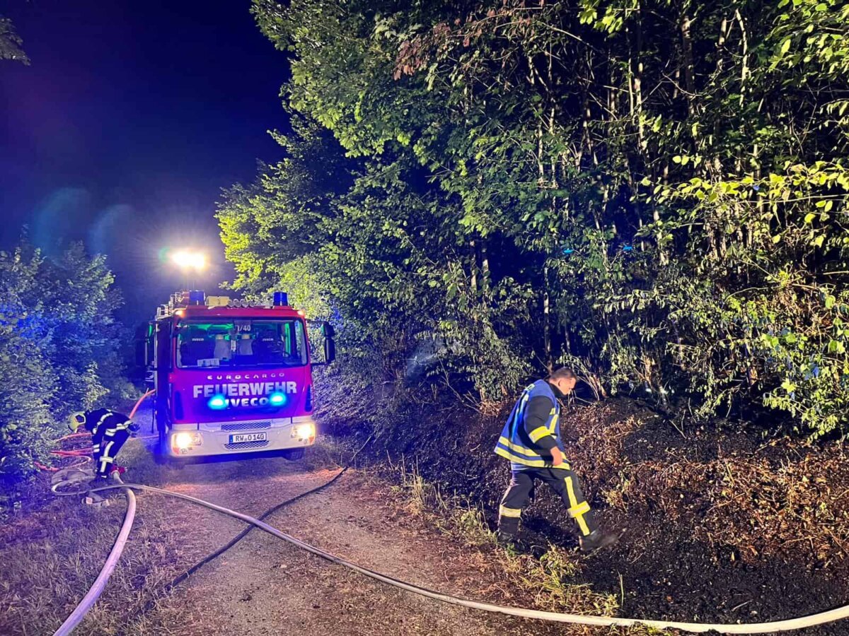 Feuer in einem Waldstück bei Oberndorf - von der Feuerwehr rasch bekämpft. Foto: Feuerwehr Oberndorf