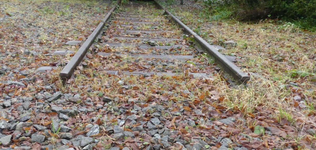 Das letzteStück Bahngleis von Schramberg her am Schiltacher Bahnhof. Foto: him
