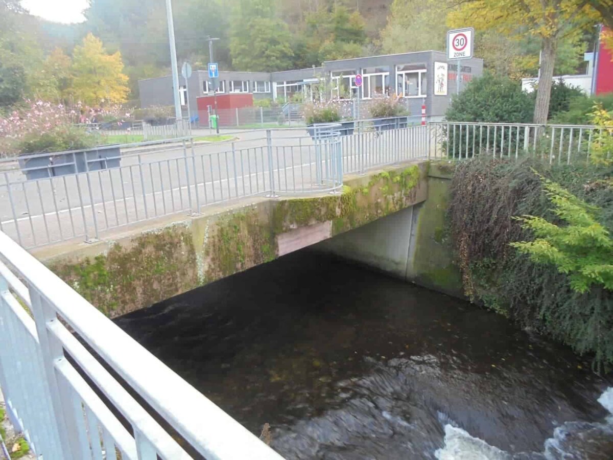 Brücke am Schramberger Gymnasium. Foto: him