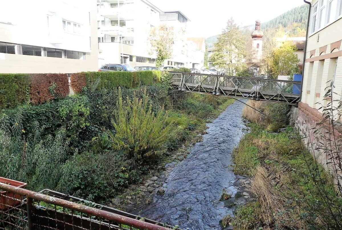 Die Schiltach wieder zugänglich machen: Das ist der Plan der Stadt am Brestenberg. Foto: him