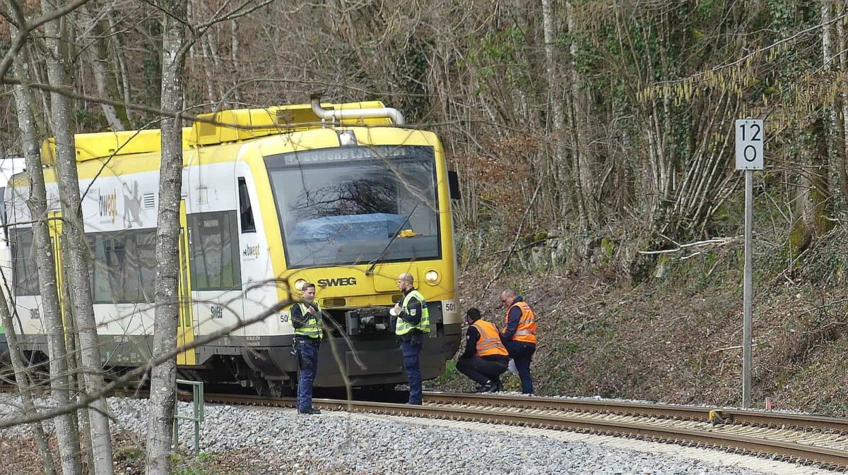 Bahnexperten und Polizeibeamte begutachten den Zug. Foto: him