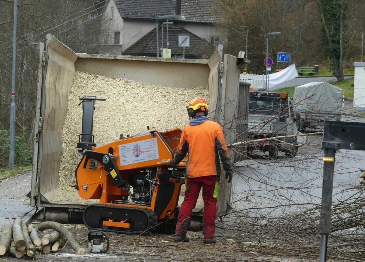Die Äste werden an Ort und Stelle gehäckselt. Fotos: him