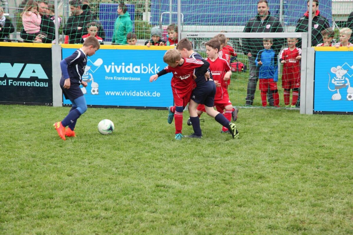 IMG_6641_Turnier-der-F-Jugend