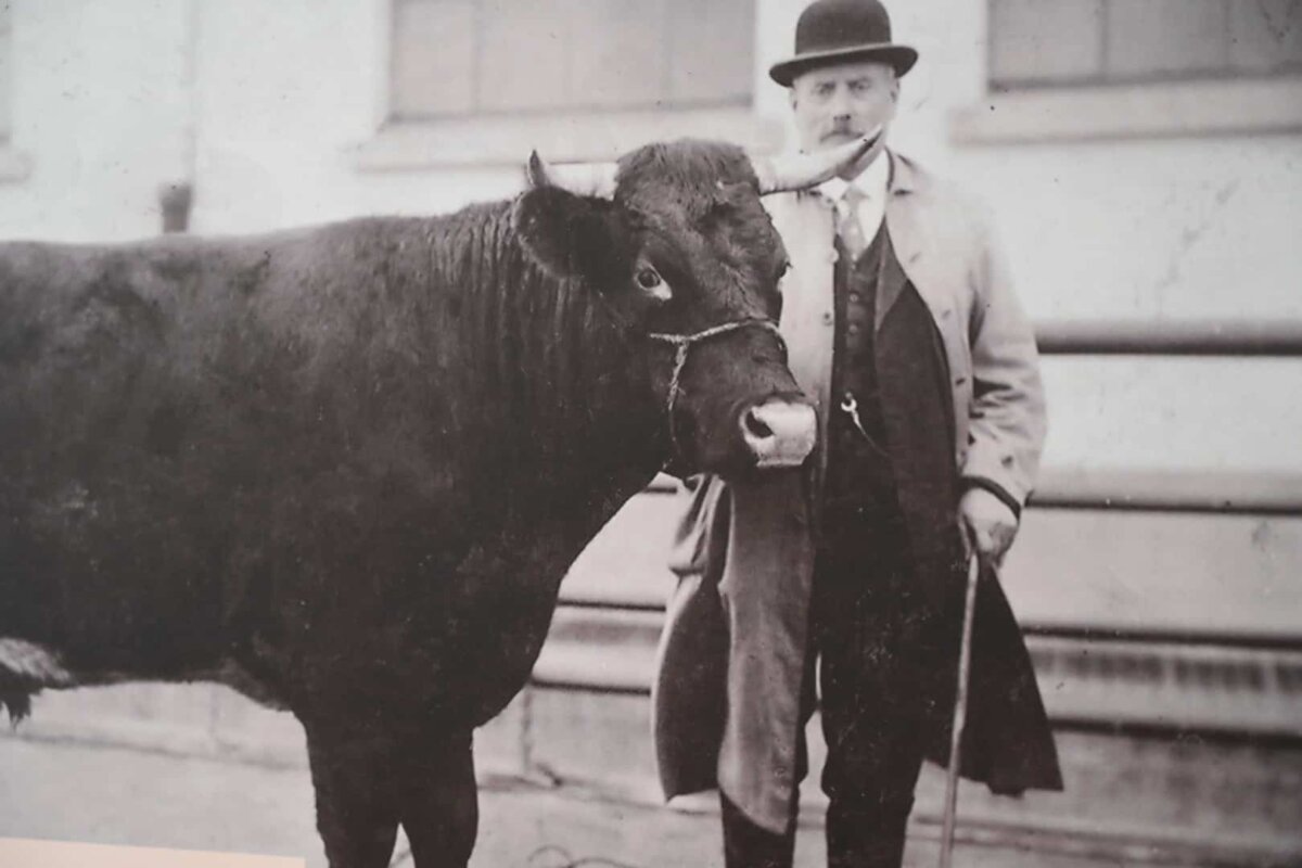 Feindbild jüdischer Viehhändler: Männer wie Max Pressburger, Inhaber einer Viehhandlung in Rexingen (hier auf einer Aufnahme aus den 1920er Jahren), gerieten in ganz Württemberg und Hohenzollern früh ins Visier antisemitischer NS-Kampagnen. Foto: Ausstellung