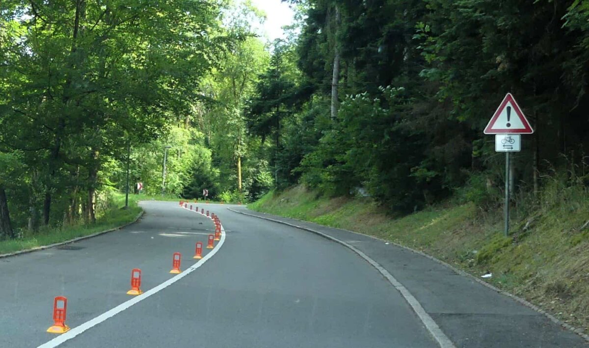 Gegen das Kurvenschneiden: Bischofsmützen auf der Alten Steige. Foto: him