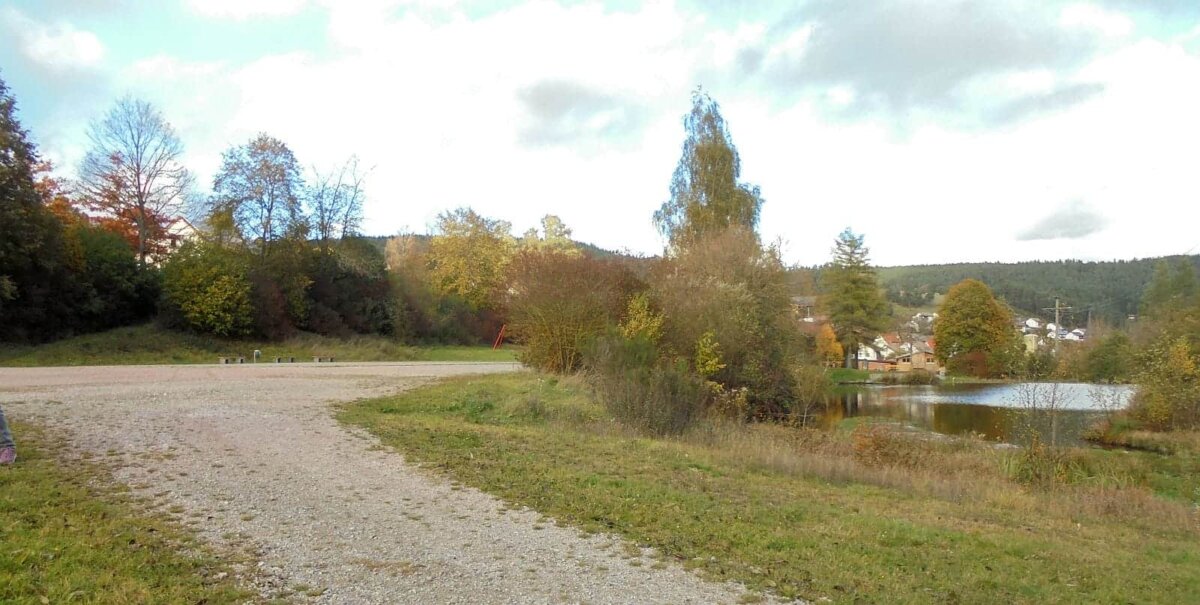 Auff der Fläche neben dem Dortweiher soll die neue Tennenbronner Halle gebaut werden. Foto;: him
