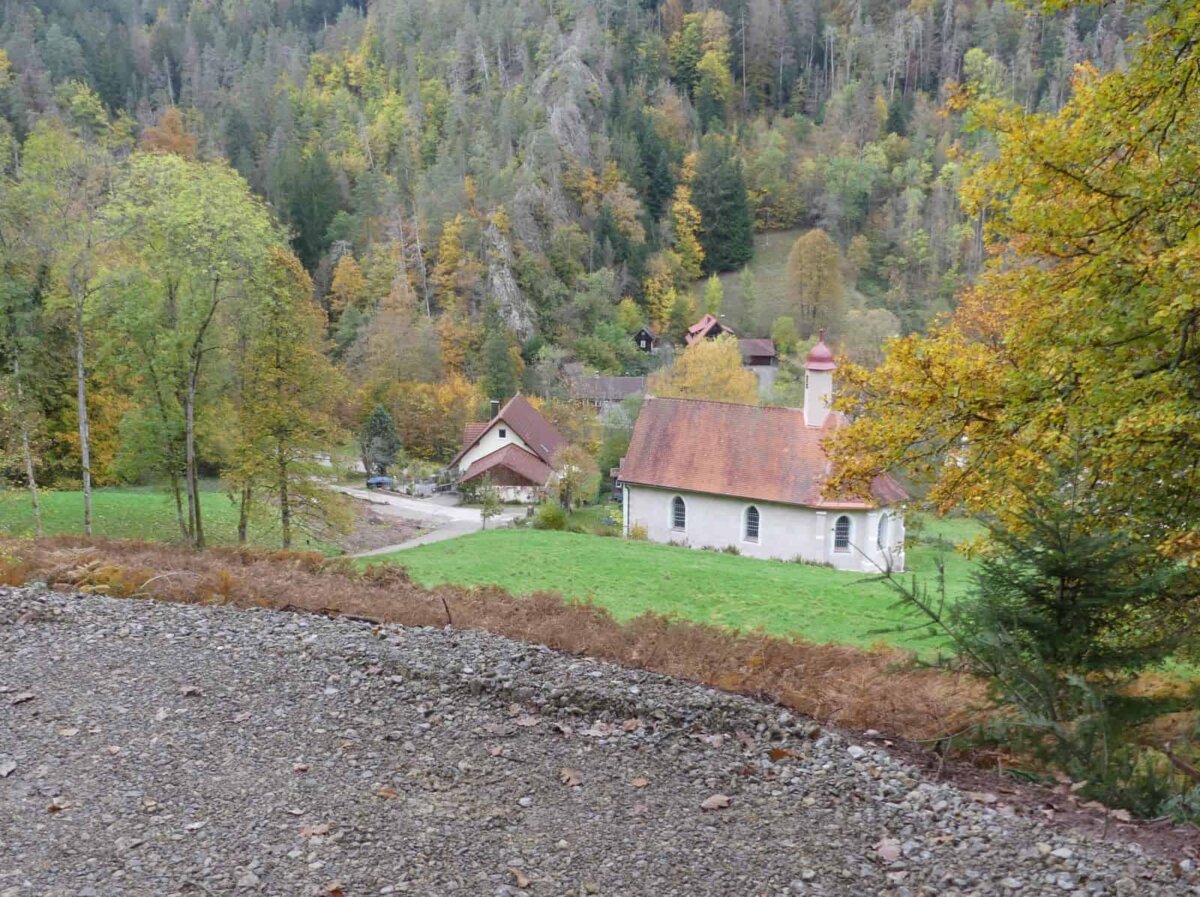 Blick vom künftigen Bestattungswald auf die Falkensteiner Kapelle. Foto: him
