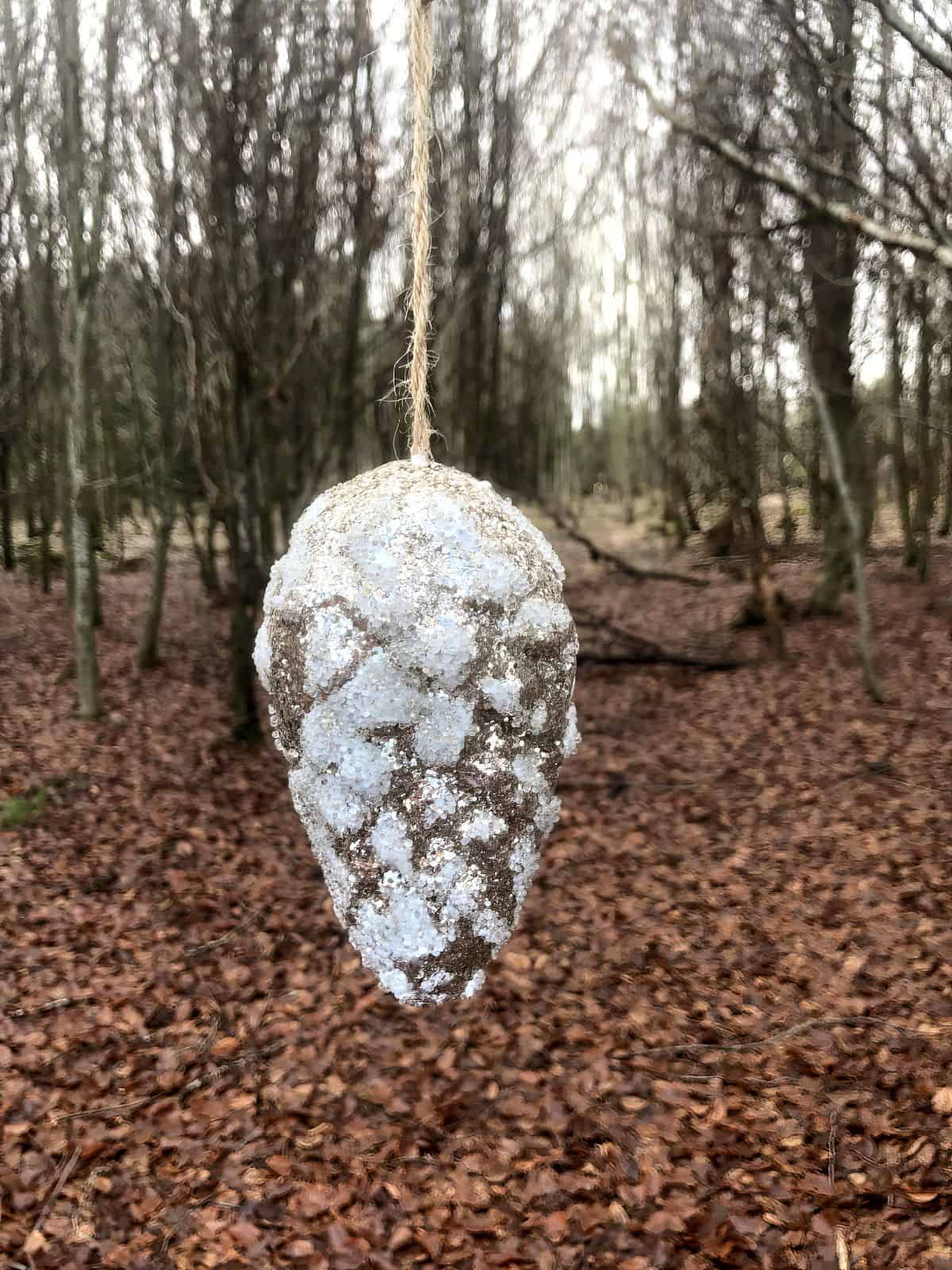 Winter Bilderbuchweg Zwischen Seedorf Und Boesingen Findet Reges Interesse