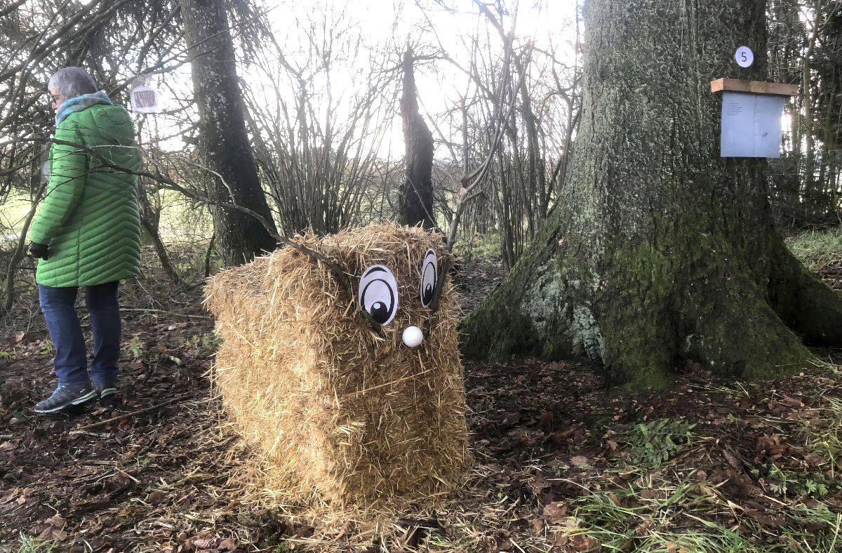 Winter Bilderbuchweg Zwischen Seedorf Und Boesingen Findet Reges Interesse