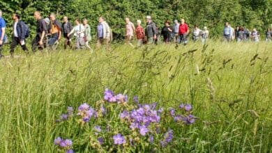 2024 pilgergottesdienst 2022 foto berthold hildebrand