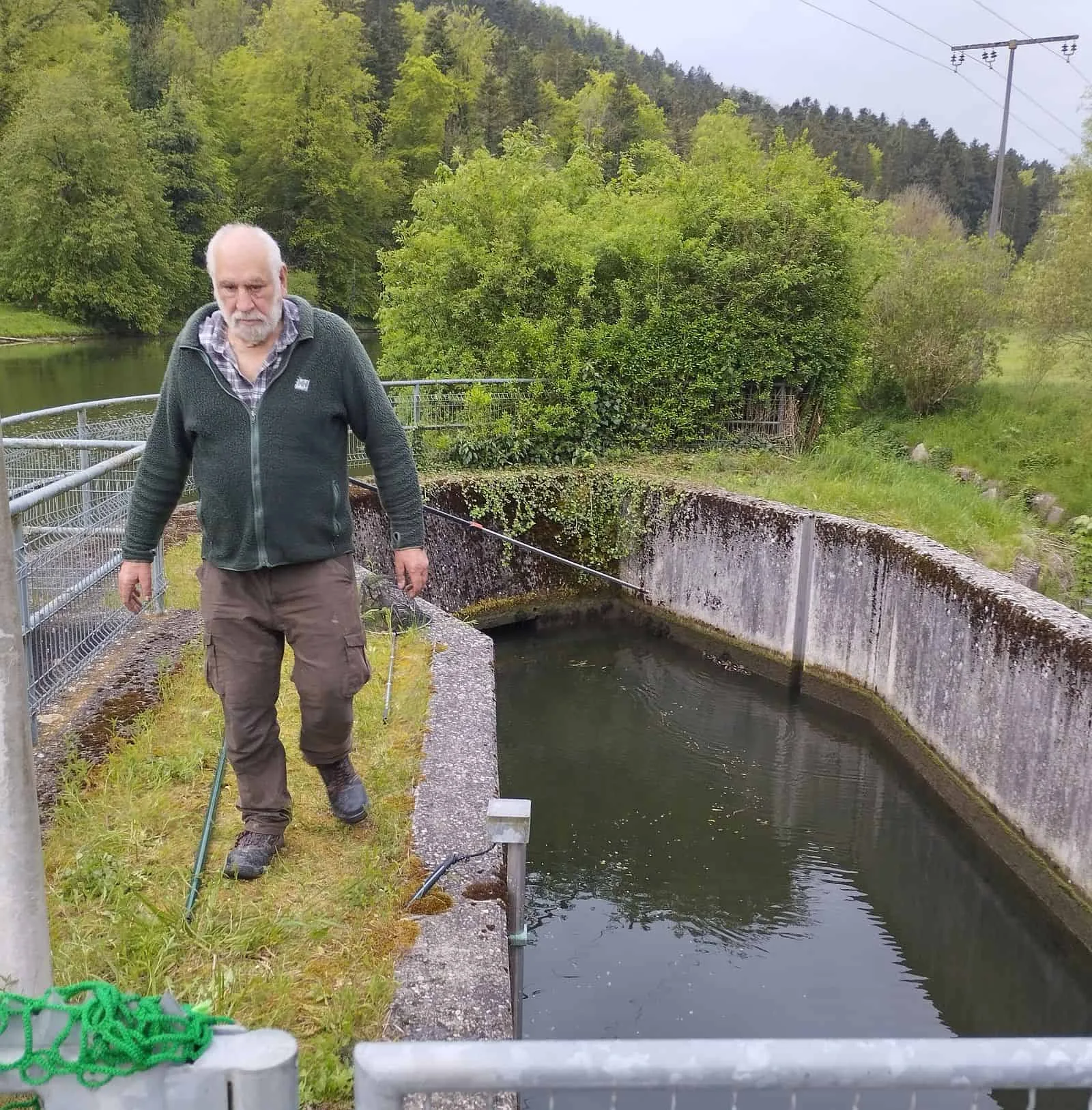 entenrettung sulz polet dk 090524 (2)