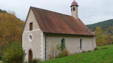 falkensteiner kapelle dk 301023 (39)