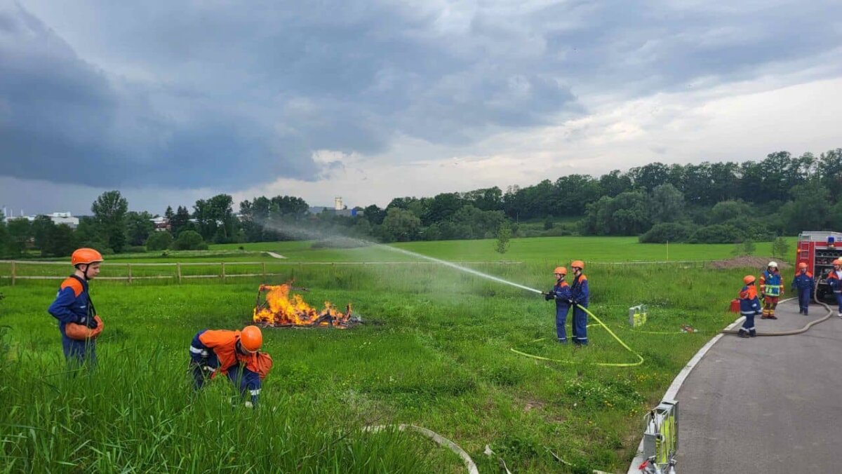 6 schuppenbrand