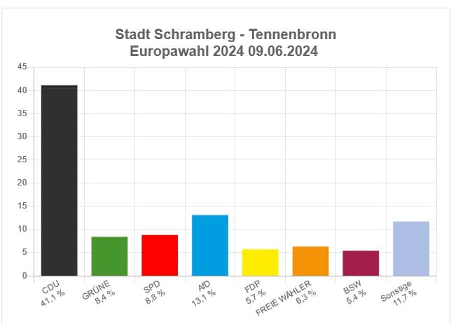 eu wahl schramberg tennenbronn 090624