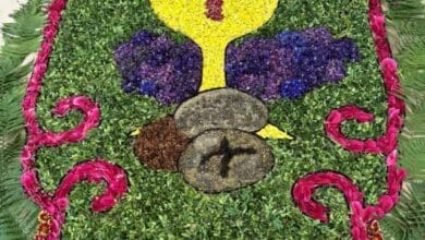 img 20240601 wa0004 1