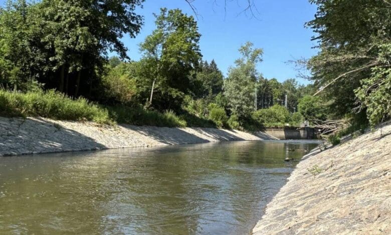 revitalisierung neckar