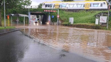 stieren hochwasser