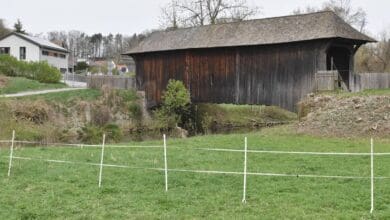 240704 schindelbrücke seitlich