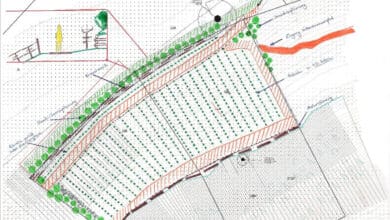 240704 weinberg höllenstein