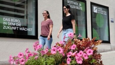 blumenschmuck innenstadt