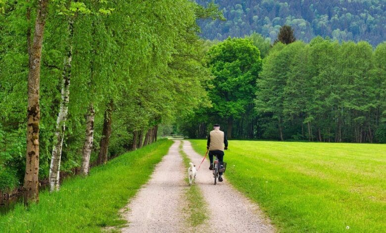 radweg