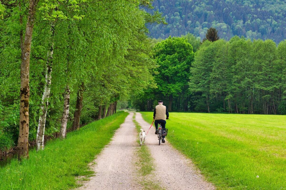 radweg