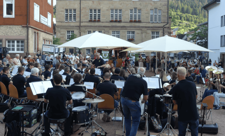 stadtmusik serenade dk 240724 (8)