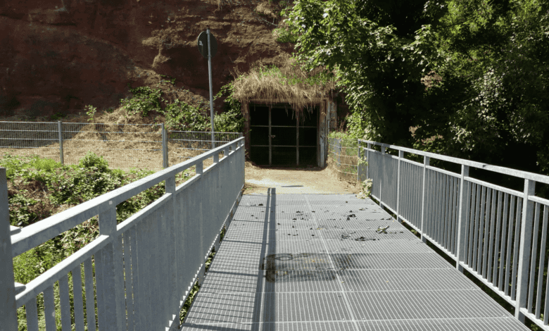 stahlbrücke kokelei dk 200724 (2)