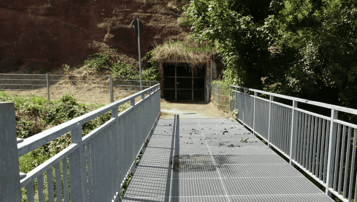stahlbrücke kokelei dk 200724 (2)