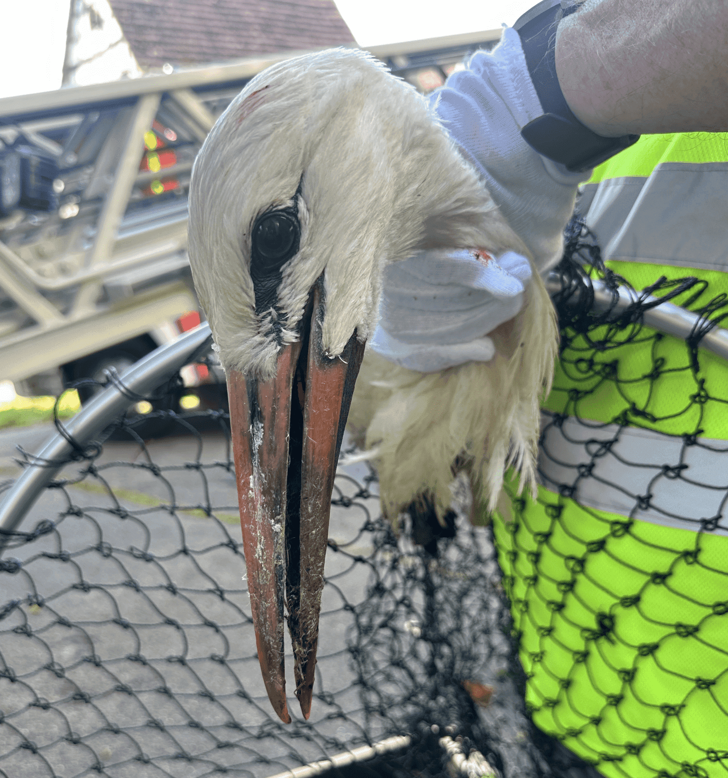 storch schwer verletzt dkpm 150724