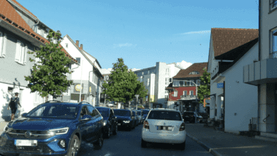 sulgen bärenkreuzung hasen dkpix 110724 (4)