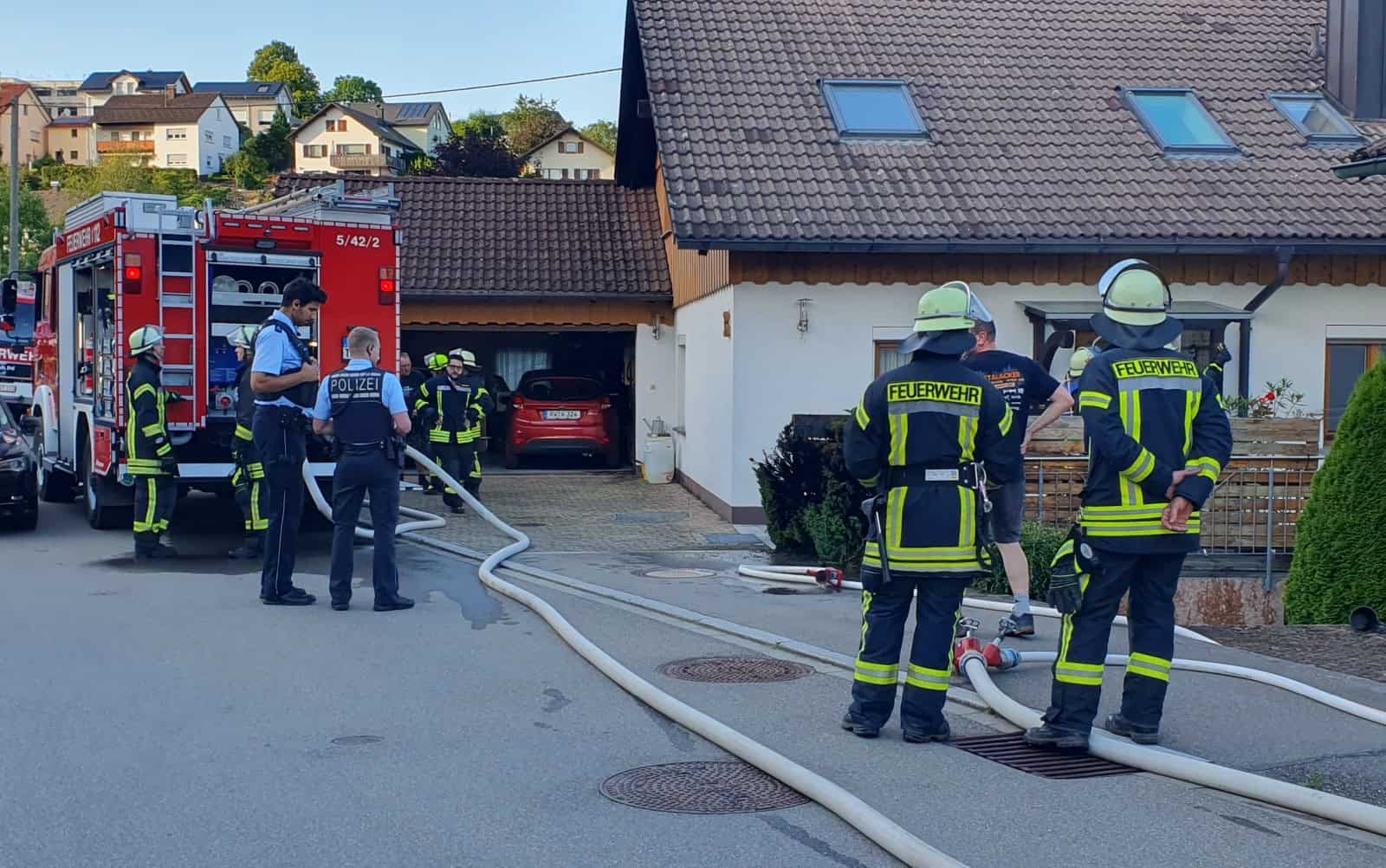 tuja brand tebro 1 dkpm 090724