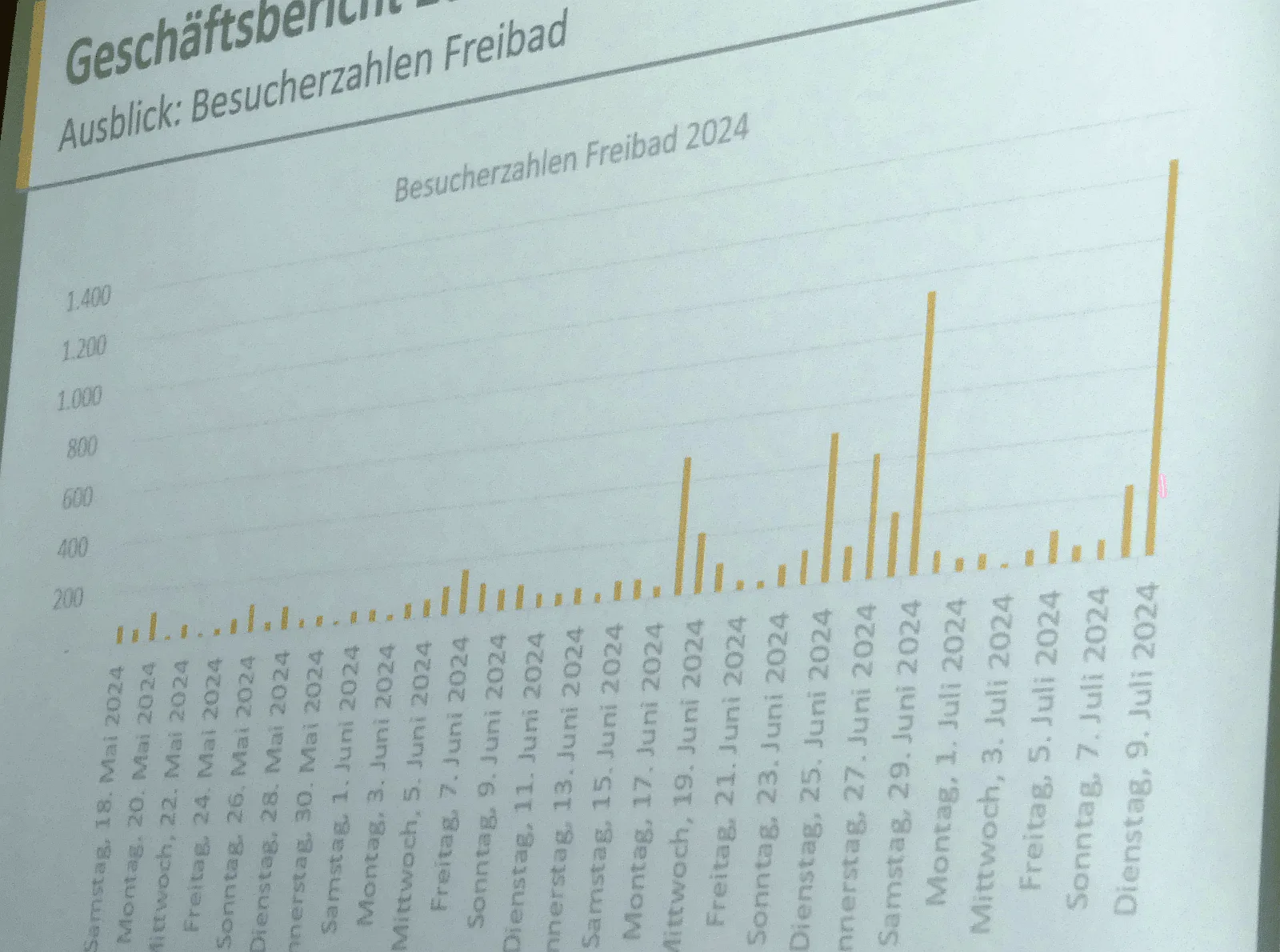 va stadtwerke freibad dk 1120724 (10)