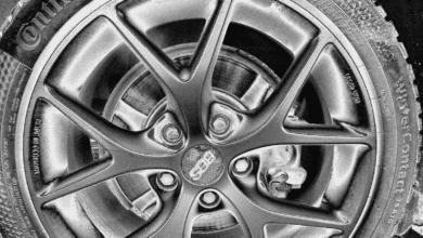 bbs rad dkmetallic 190724 (2)