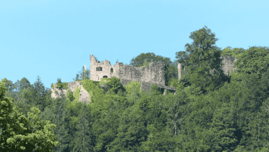 hohenschramberg charlottenhöhe dk 090824 (1)