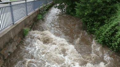 schiltach nach gewitter dk 130824