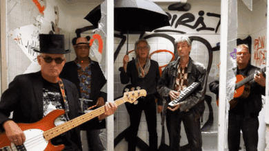 steinwolke screenshot 2024 08 18 000331