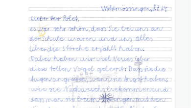 briefausriss waldmössingen polet 060924