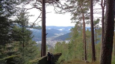 schenkenzell schiltach staufenkopf dk 020418 (3)