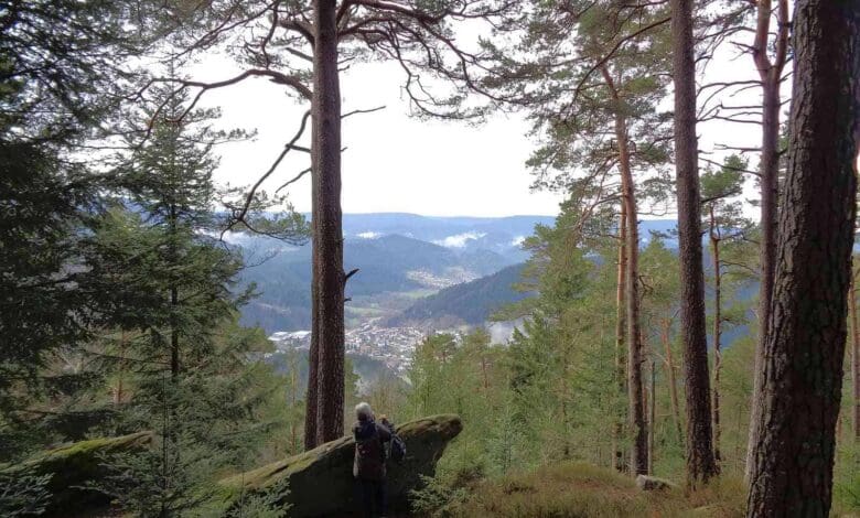 schenkenzell schiltach staufenkopf dk 020418 (3)