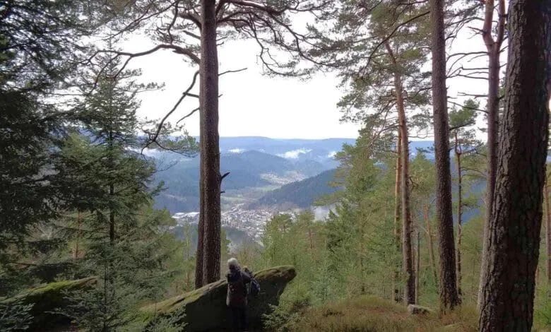 schenkenzell schiltach staufenkopf dk 020418 (3)