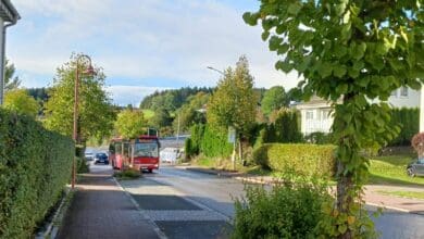 bushaltestelle sulgen schramberger sp dk 270924 (1)